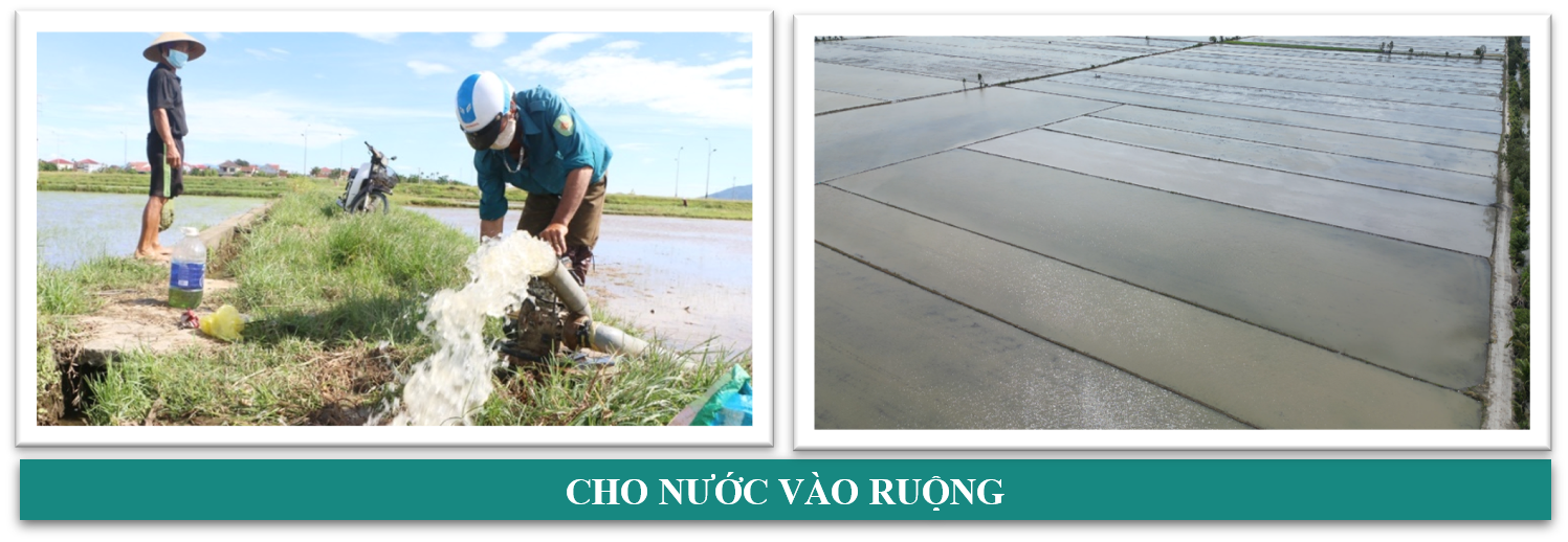 cho-nuoc-vao-ruong