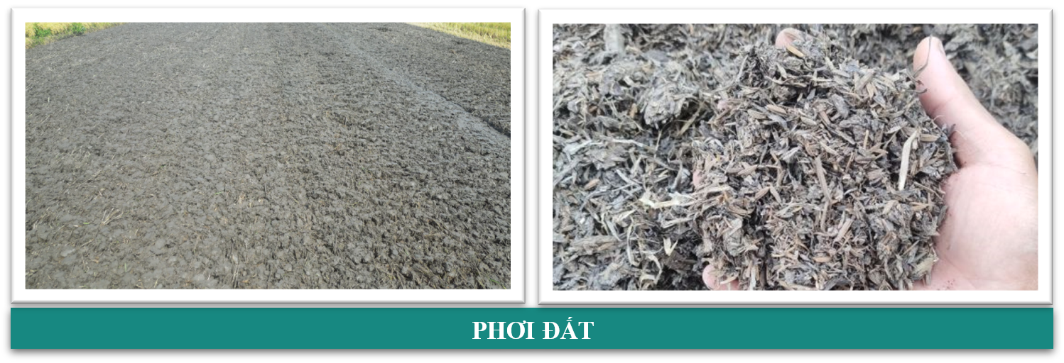 phoi-dat