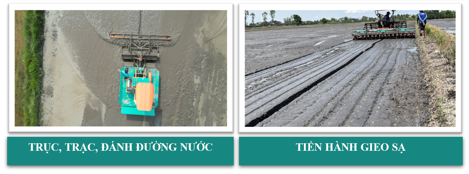 truc-trac-danh-duong-nuoc-gieo-sa