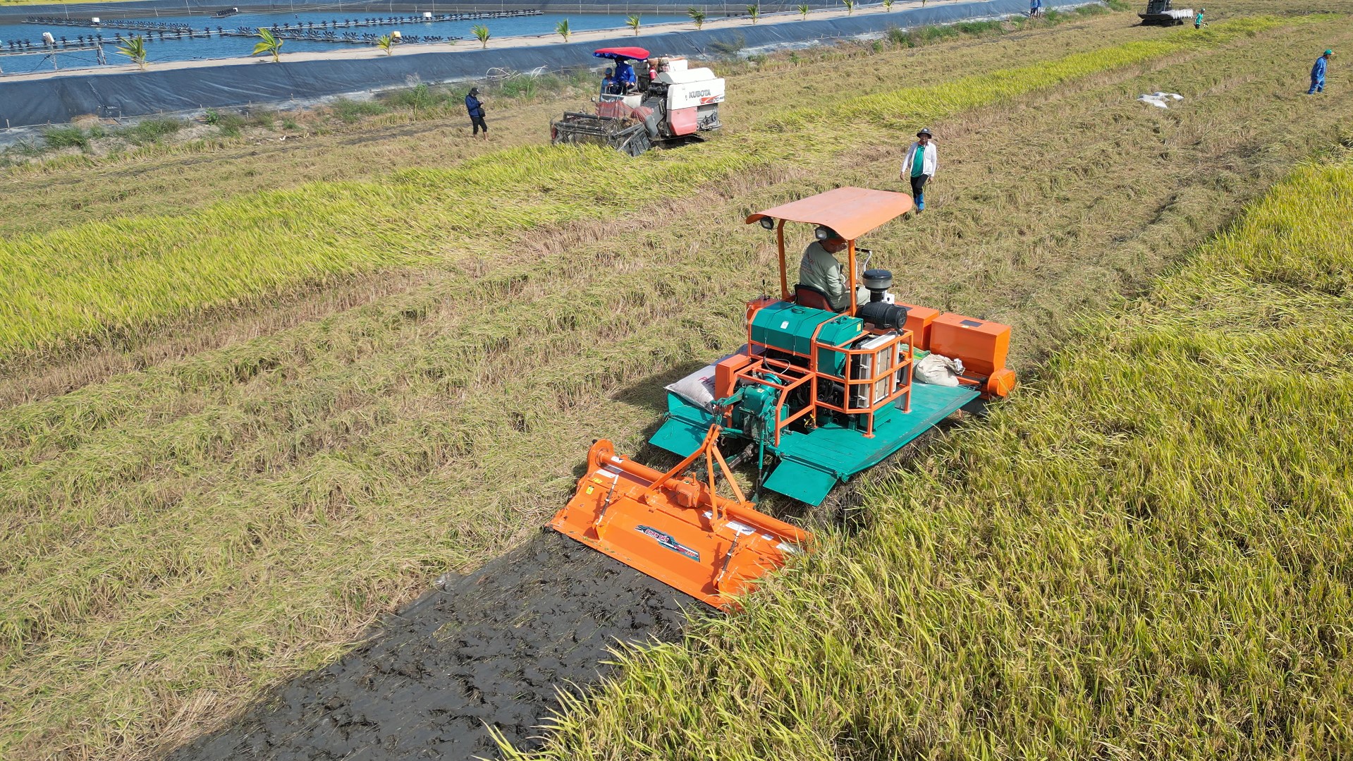 Dàn xới đất khô Phan Tấn