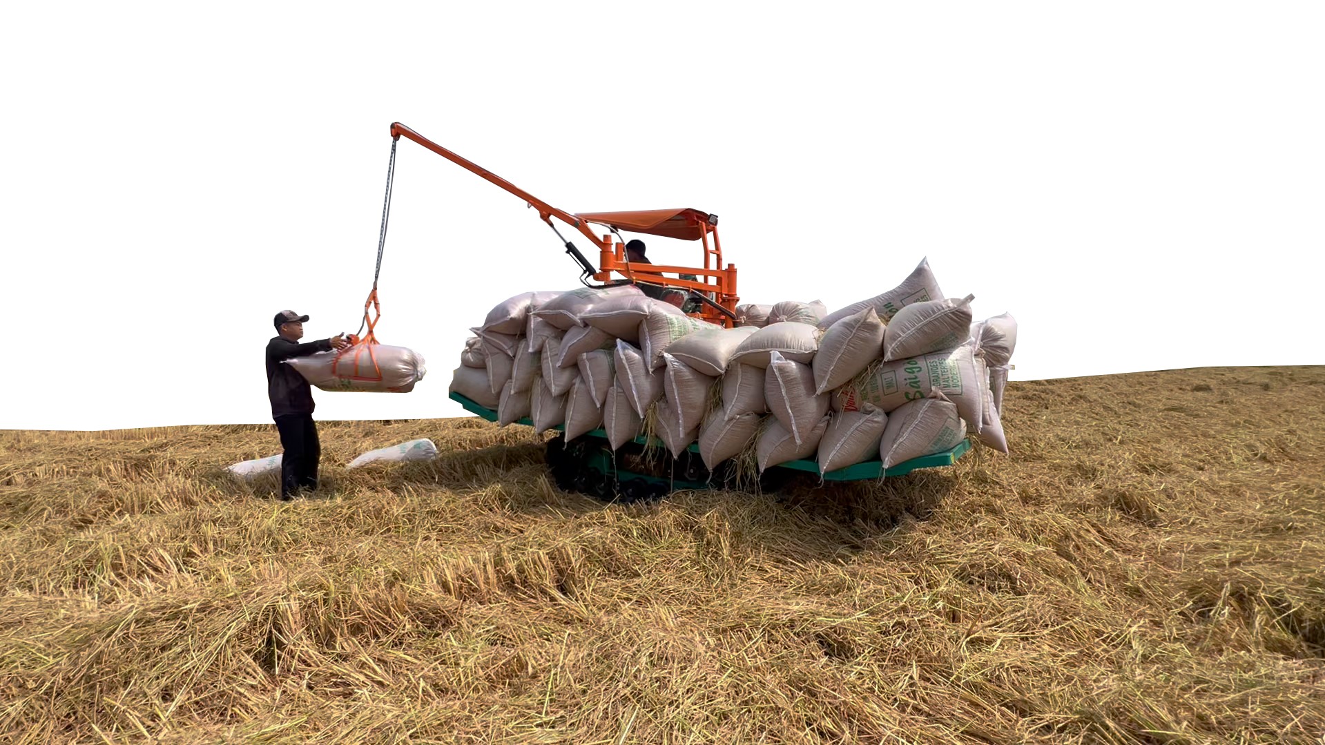 Tùy chọn lắp dàn gắp, độ bền sơn tĩnh điện