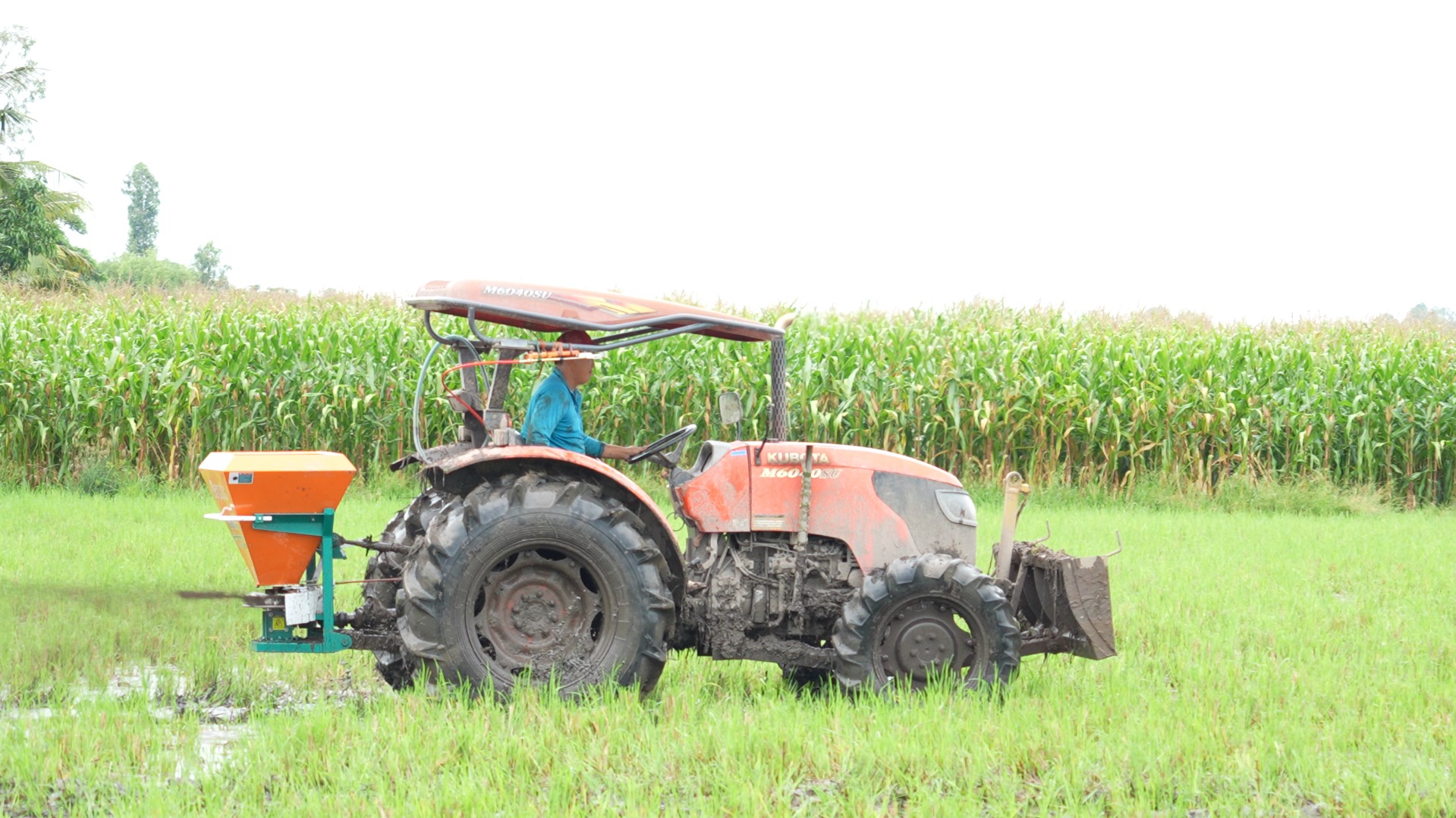 Thùng Rải Phân Phan Tấn được lắp trên máy cày kubota
