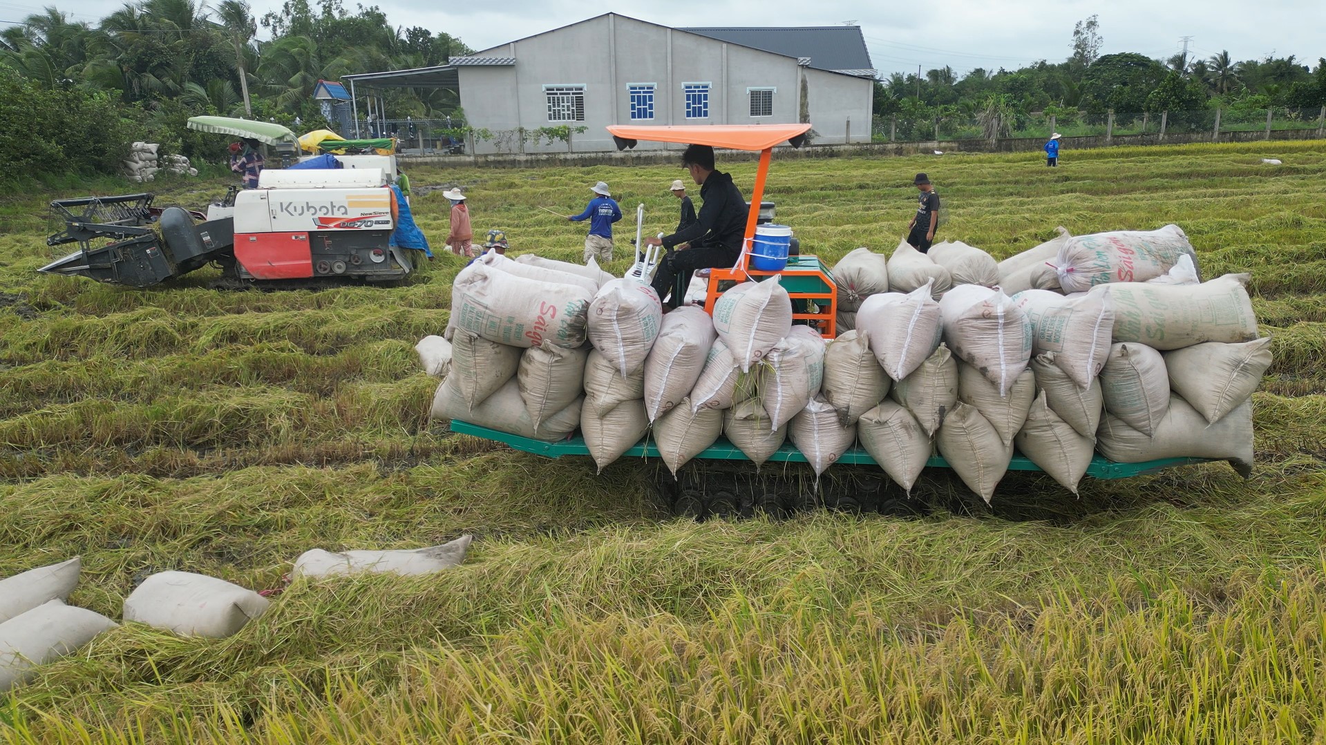 xe chở lúa phan tấn tải trọng lớn đến 5 tấn