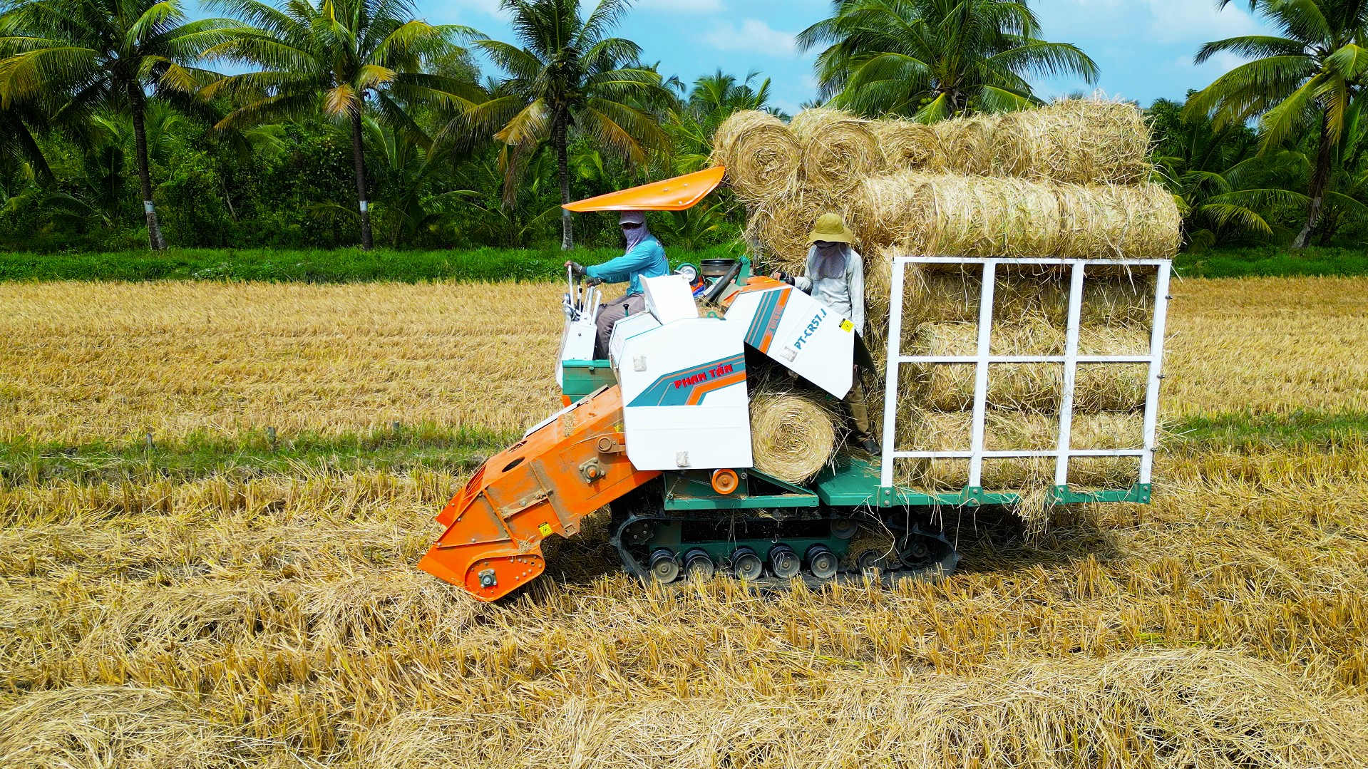 máy cuốn rơm phan tấn nhả rơm trên thùng chứa tiện lợi