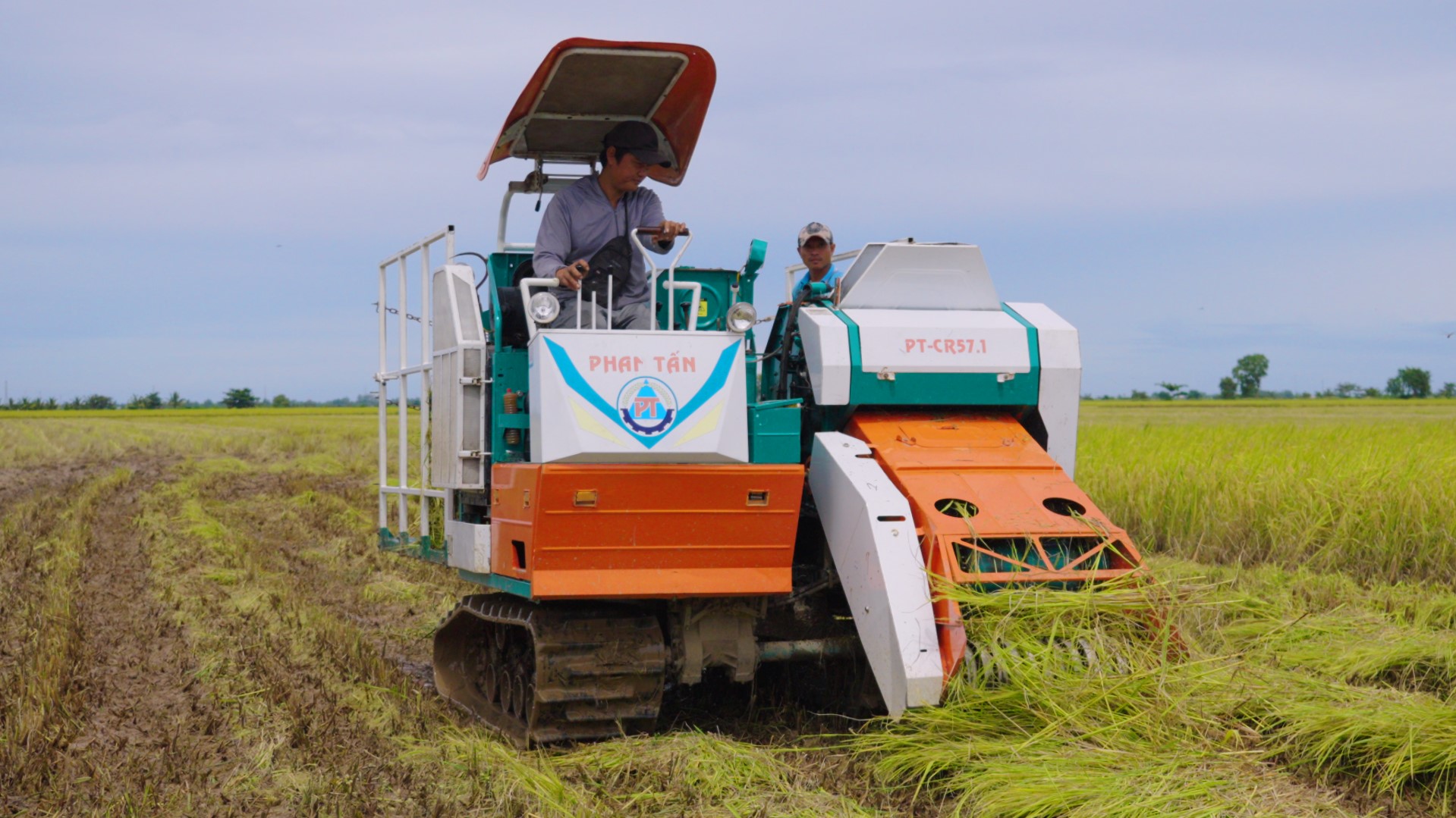 máy cuốn rơm phan tấn cuốn rơm dạng thẳng